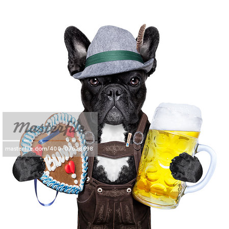 bavarian oktoberfest dog  with beer mug and gingerbread heart