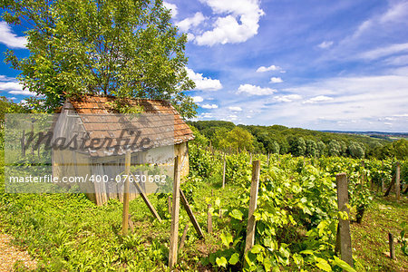 Mud cottage in hill vineyard, Prigorje region, Croatia