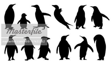 penguin silhouettes on the white background