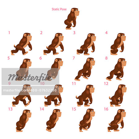 Animation of gorilla walking. Sixteen walking frames + 1 static pose. Vector cartoon isolated character/frames.