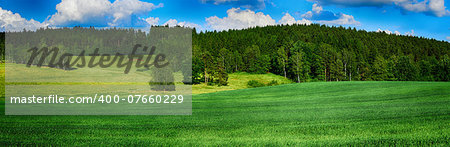 HDR summer landscape with fields, forests, blue sky with clouds