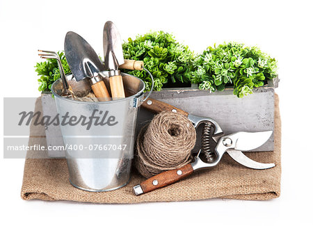 Garden tools in bucket with green plant. Isolated on white background