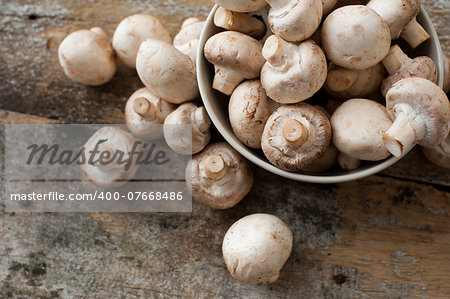 View from above of whole uncooked fresh white button or field mushrooms overflowing from a metal bowl onto old weathered rustic wooden planks