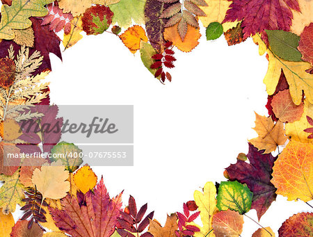 form the heart of autumn leaves background