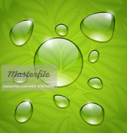 Illustration water drops on fresh green leaves texture - vector