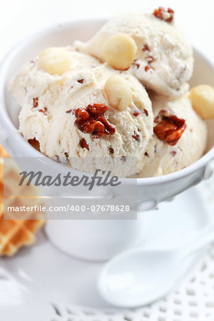 Nut ice cream with walnut and macadamia nut