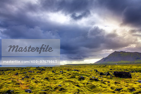 Old lava field covered with moss on the west coast of Iceland