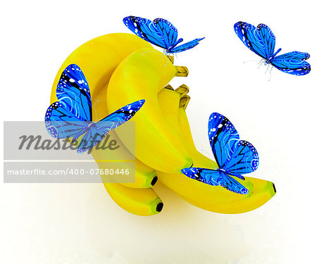 Blue butterflys on a bananas on a white background