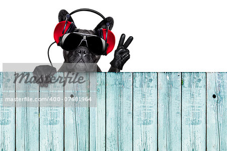 dj dog listening to music behind an empty and blank wood wall with victory and peace fingers