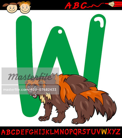 Cartoon Illustration of Capital Letter W from Alphabet with Wolverine Animal for Children Education