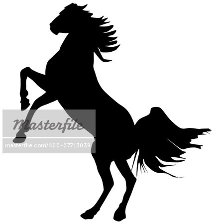 black horse silhouette