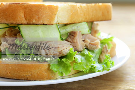 tuna sandwich with fresh cucumber and green salad