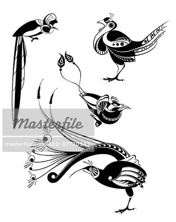 Vector original art bird silhouettes collection for design