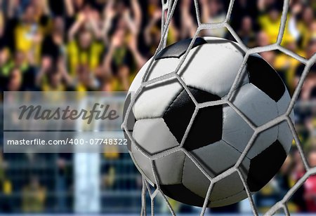 Ball in Goal Net with Cheering Spectators