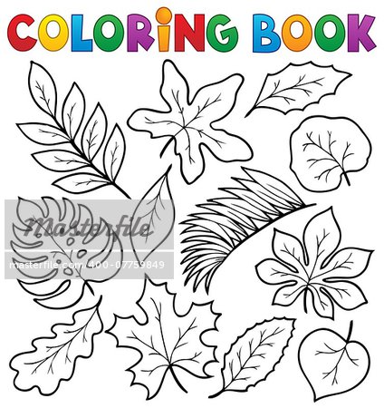 Coloring book leaves theme 1 - eps10 vector illustration.