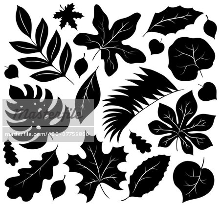 Leaves silhouettes collection 1 - eps10 vector illustration.