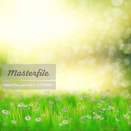 Spring, summer background with 3d white daisies and fresh grass over bokeh background.