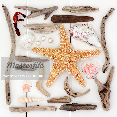 Starfish and sea shell selection, driftwood, pearls and seaweed over wooden white background.