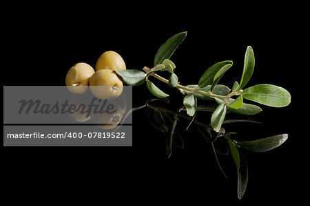 Green olives with twig isolated on black background. Luxurious appetizer.