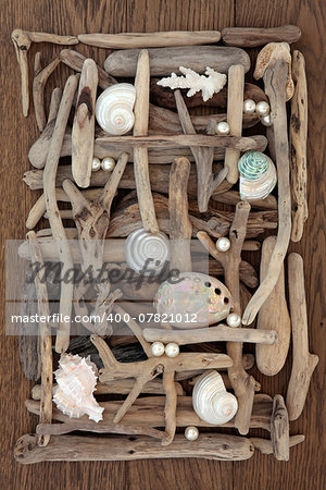 Sea shell and driftwood abstract collage on oak wood background.