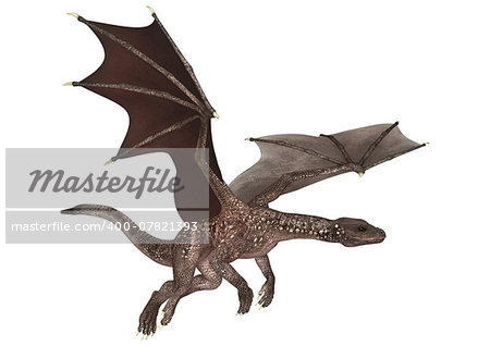 3D digital render of a soaring fantasy dragon isolated on white background