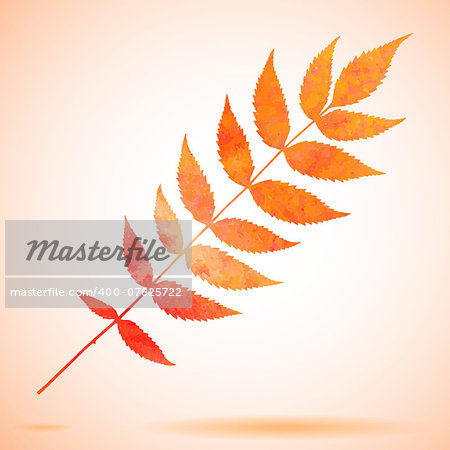 Orange watercolor painted leaf. Also available as a Vector in Adobe illustrator EPS format, compressed in a zip file. The vector version be scaled to any size without loss of quality.