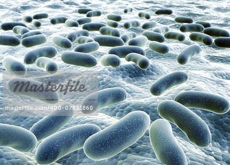 Colony of pathogen bacteria - 3d render