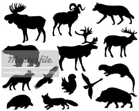 Collection of silhouettes of animals living in the territory of Europe