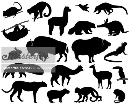 Collection of silhouettes of animals living in the territory of North and South America