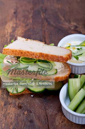 fresh vegetarian sandwich with garlic cheese dip salad on rustic table