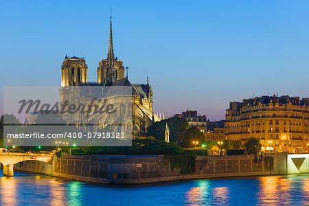 Notre Dame de Paris at the summer night