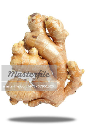 Close up fresh Ginger with clipping path ,easy to make select use your design.