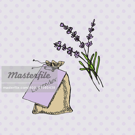 Health and Nature Collection. Herbs and a bag on spotted seamless background. Lavender -  Lavandula angustifolia