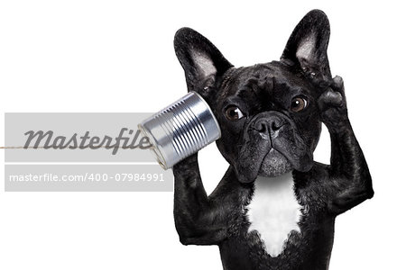 french bulldog dog listening or talking on the can telephone, isolated on white background