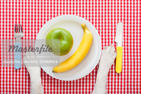 dog food bowl with an apple and banana , with knife and fork  on tablecloth,paws of a dog
