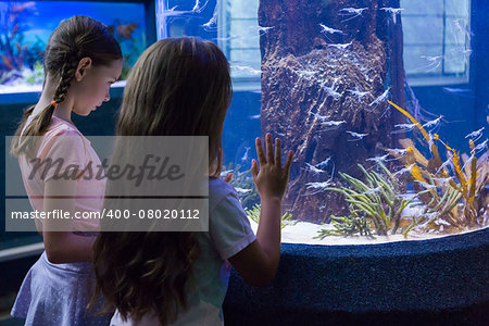 Cute girls looking at fish tank at the aquarium