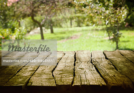Spring green background. Garden and orchard art Design. Summer environmetal landscape concept.