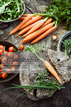 Fresh organic vegetables. Food background. Healthy food from garden