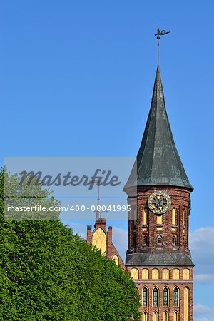 Tower of the Koenigsberg Cathedral. Gothic 14th century. Symbol of the city of Kaliningrad (Koenigsberg before 1946), Russia