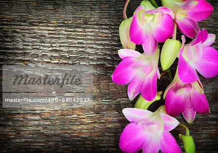 Pink orchid flowers on old wooden background