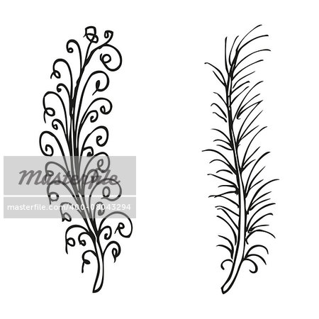 Doodling hand drawn amazing feathers, vector illustration