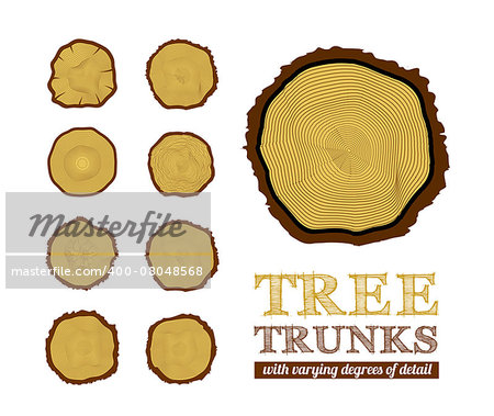 Set of cross section of the trunk, vector illustration