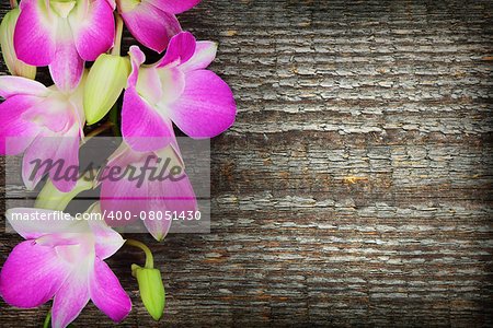 Pink orchid flowers on old wooden background