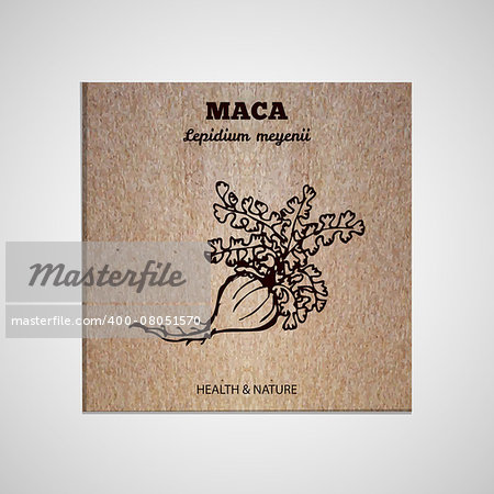 Herbs and Spices Collection - Maca.  Hand-sketched herbal element on cardboard background. Suitable for ads, signboards, packaging and identity designs