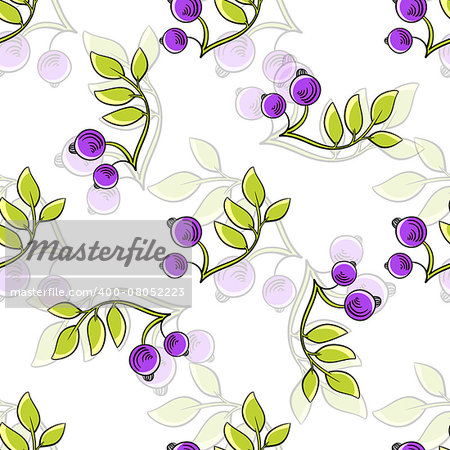 Hand drawn pattern made from branches with berries on the white background.