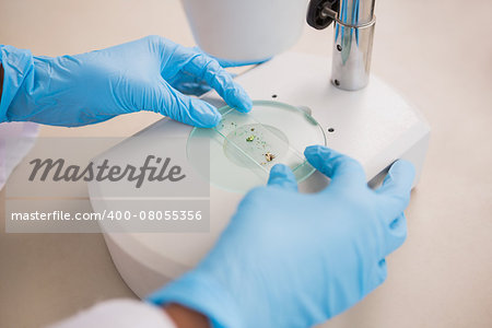 Scientist examining petri dish under microscope in laboratory