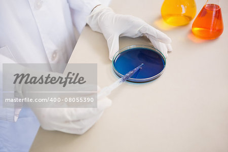 Scientist examining petri dish in laboratory