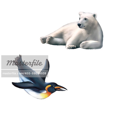 Illustration of Resting polar bear. King penguin under the water. isolated on white background