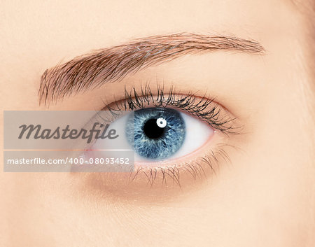 Close up blue eye with makeup , macro shot with perfect skin