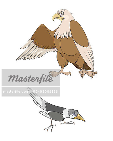 Vector illustration of a two birds: magpie and eagle